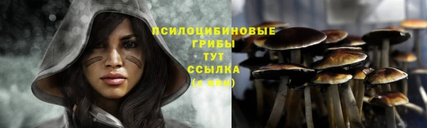 ECSTASY Белая Калитва