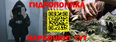 молекула духа Гусев