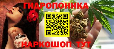 марки lsd Гусиноозёрск