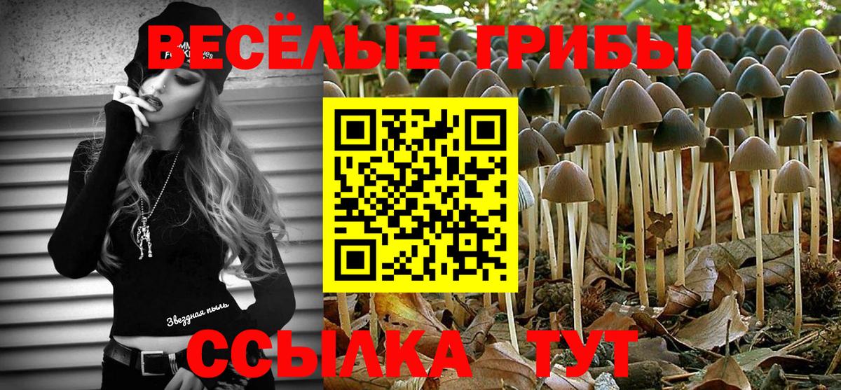 Галлюциногенные грибы мицелий  Вход с VPN  Кимовск  Псилоцибиновые грибы MAGIC MUSHROOMS 