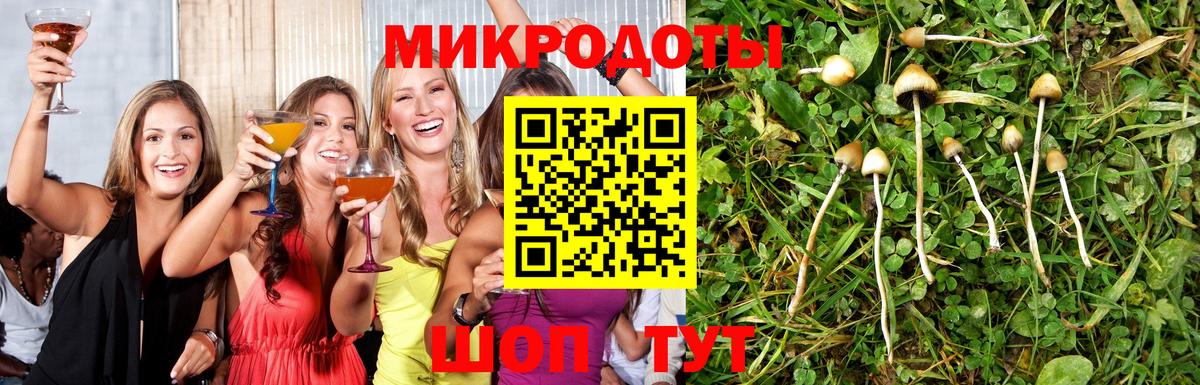 Галлюциногенные грибы мухоморы Кимовск