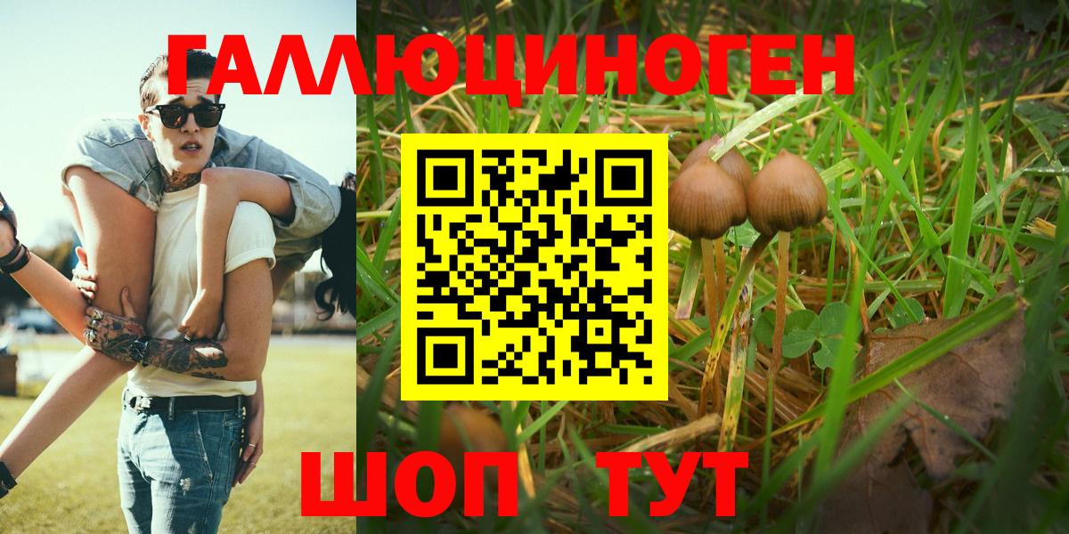 Галлюциногенные грибы GOLDEN TEACHER Кимовск