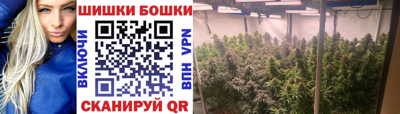 Бошки марихуана ГИДРОПОН Кимовск